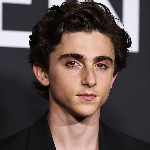 Timothée Chalamet Cinematic Portrait