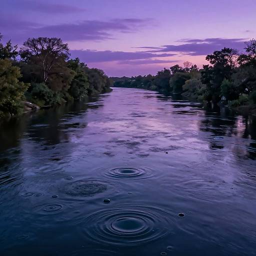 Photograph of a serene, purple-tinted river at sunset, surrounded by dark, silhouetted trees, with gentle ripples on the