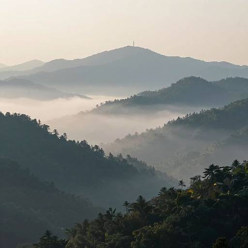 Photograph of a misty mountain landscape with layered, forested hills in deep green and blue hues, illuminated by soft morning light.