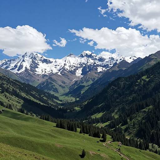Panoramic Mountain Landscape Photo