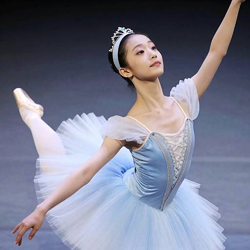 Close-Up of Cinderella Ballerina