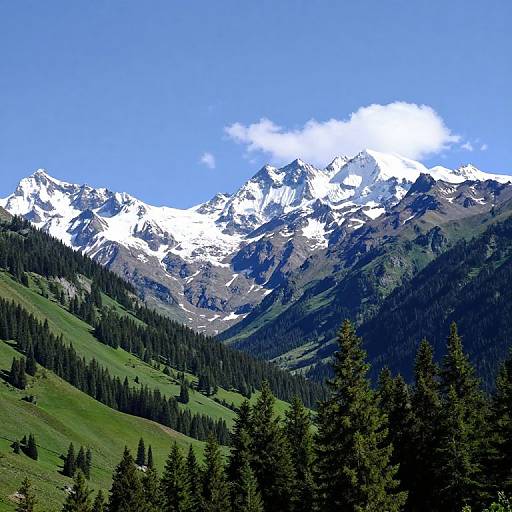 Photograph of a majestic mountain range with snow-capped peaks, lush green valleys, and dense pine forests under a clear blue sky.