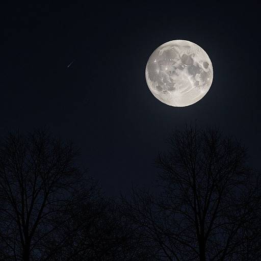 Photograph of a bright full moon in a dark night sky, with silhouetted bare trees in the foreground and a small shooting star to the