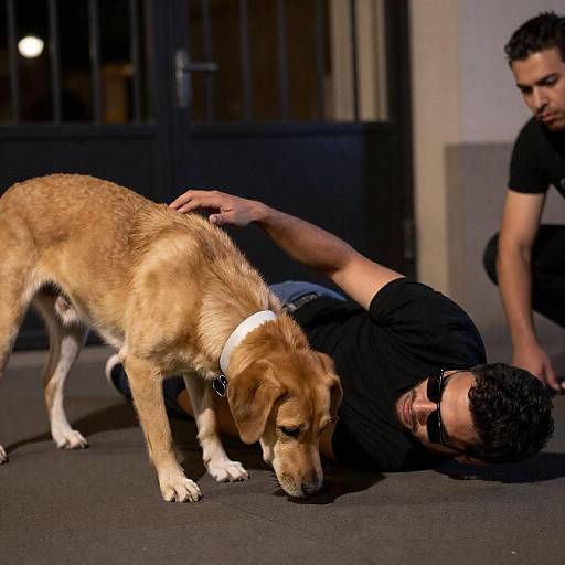 Nighttime Urban Scene with Dog and Man