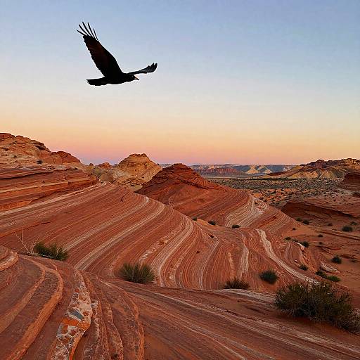 Vibrant Desert Sunset Landscape