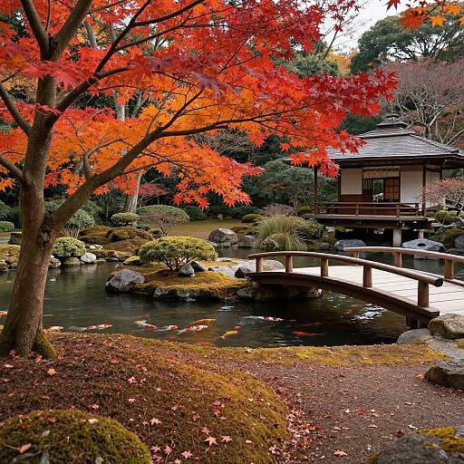 Photograph of a tranquil Japanese garden with a wooden bridge, bright red autumn leaves, a traditional wooden house, and a serene pond surrounded by rocks and