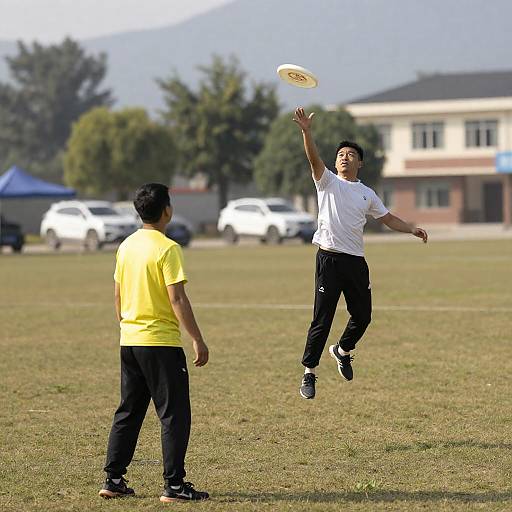Action-Packed Frisbee Fun in the Sun
