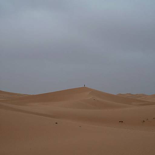 Desert Solitude Beneath Brooding Sky