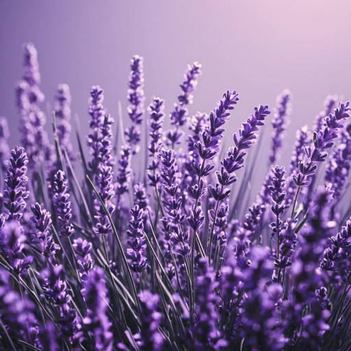 Genetics Poster with Soft Lavender Design Genetics Poster with Soft Lavender Design