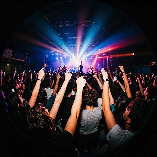 Photograph of a vibrant concert crowd raising hands under colorful stage lights, with performers on stage in the background.