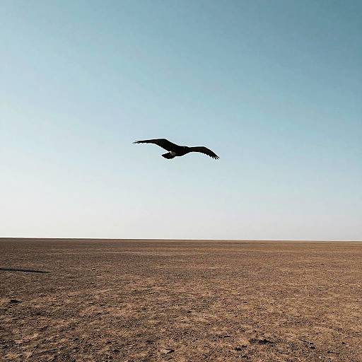 Surreal Silhouette Over Barren Landscape