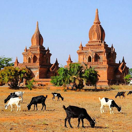 Ancient Pagodas with Grazing Goats