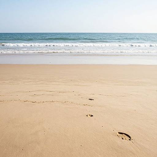 Photograph of a sunny beach with golden sand, gentle waves, and a bright blue horizon. A single footprint is visible in the foreground.
