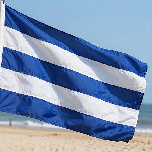 Blahaj Flag Waving on Sunny Beach