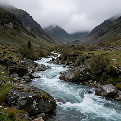 Photograph of a turbulent mountain stream flowing through a rocky, green valley with misty, cloudy mountains in the background.