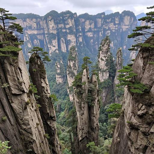 Majestic Cliffs with Spiraling Evergreens