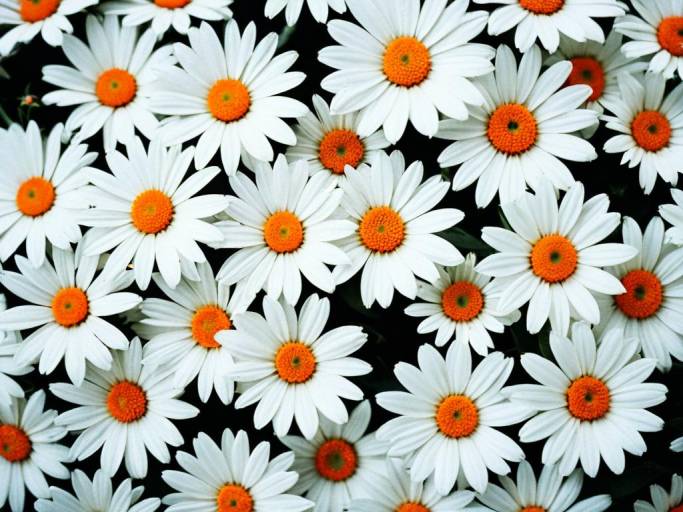 Orange-Centered White Floral Pattern Design