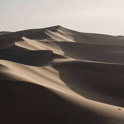 Photograph of sunlit desert sand dunes with smooth, flowing shadows and rippled textures under a bright, clear sky.