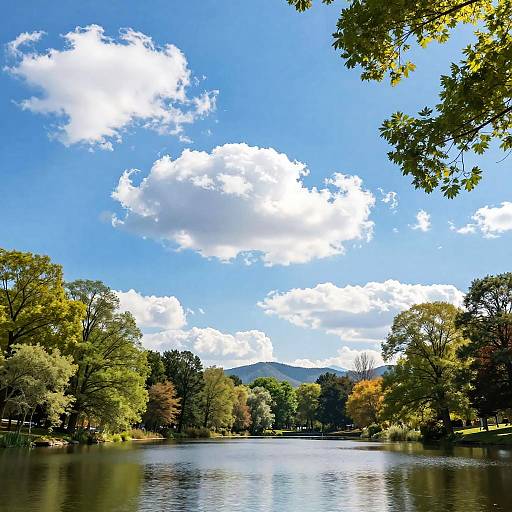 Radiant Blue Sky Spring Landscape