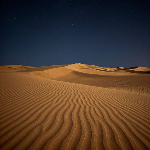 Photograph of a desert landscape at night, featuring rippled sand dunes under a starry, deep blue sky. Warm, golden sand contrasts with