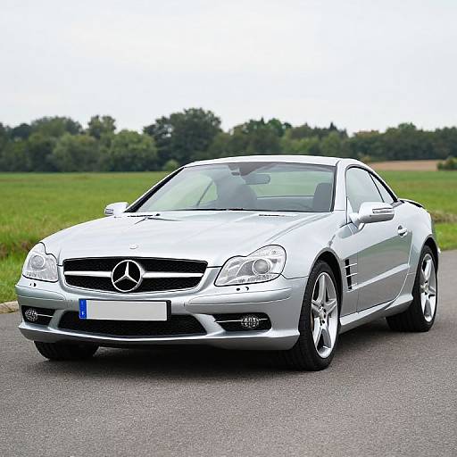 Photograph of a sleek, silver Mercedes-Benz coupe parked on an asphalt road, with a green field and trees in the background.