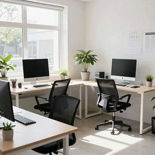 Bright office photograph featuring two white desks with black mesh chairs, two iMacs, potted plants, and sunlight streaming through large windows.