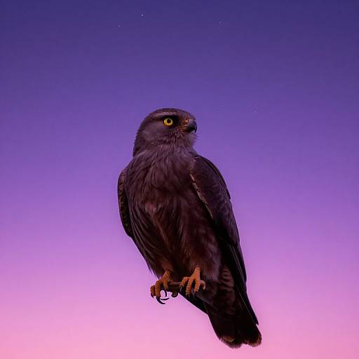 Ultra Realistic Starry Sky Scarecrow