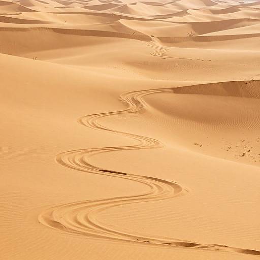 Serpentine Riverbed in Golden Desert