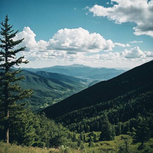 Mountainous Forest Landscape with Cloudy Sky