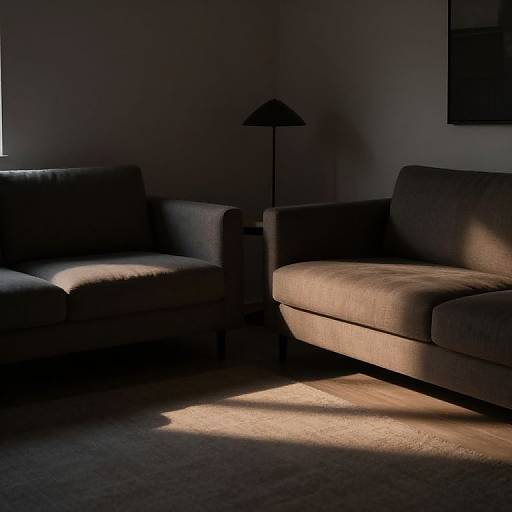 Photograph of a dimly lit living room with two dark gray upholstered sofas, a black floor lamp, and sunlight casting shadows on the carpet.
