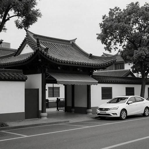 Black-and-White Traditional Asian Street Scene