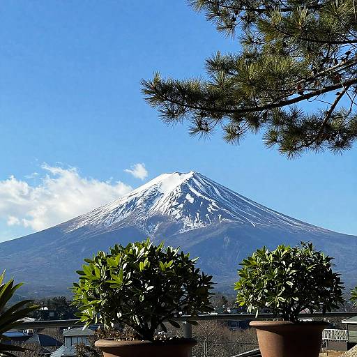 Mount Fuji with Potted Plants and Pine Tree