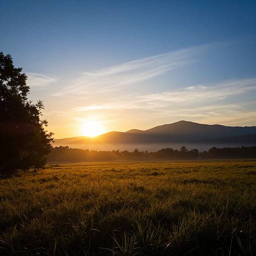 Photograph of a golden sunset over a grassy field, with silhouetted trees on the left and distant mountains under a clear blue sky.