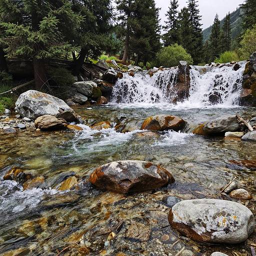 Serene Mountain Stream Landscape