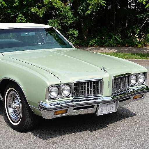 1977 Olds Cutlass Supreme Green