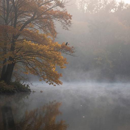 Photograph of a misty autumn river with orange-leaved trees, a small bird perched on a branch, and reflective water.