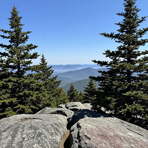 Breathtaking Vista at Grandfather Mountain