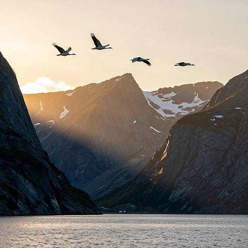 Photograph of a serene mountain landscape at sunset, with four birds flying above, silhouetted against golden sunlight and snow-capped peaks.