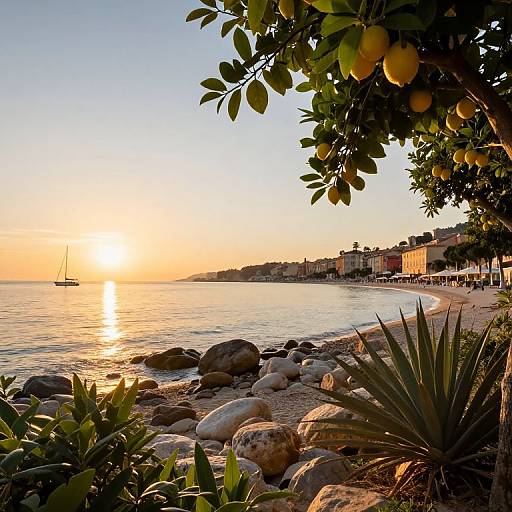Photograph of a serene sunset over a rocky beach, with a sailboat on the water, lemon tree in the foreground, and colorful buildings on the
