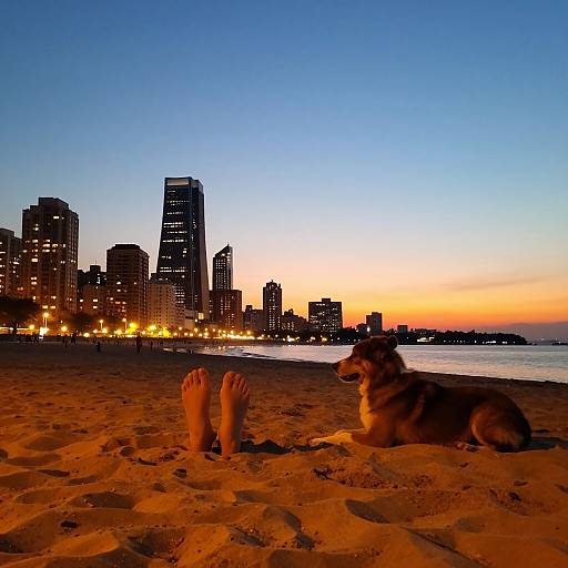 Photograph of a beach at dusk with a dog lying on sand, feet in foreground, and illuminated city skyline in background.