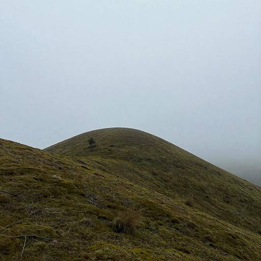 Misty Mossy Highland Plateau
