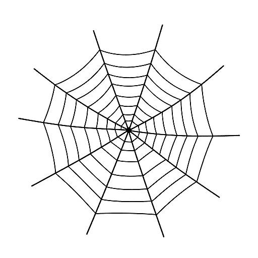 Minimalist Spider Web Network Art