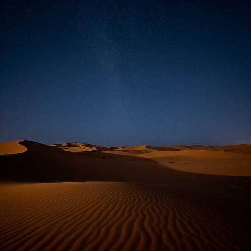 Sahara Meteor Shower Over Dunes