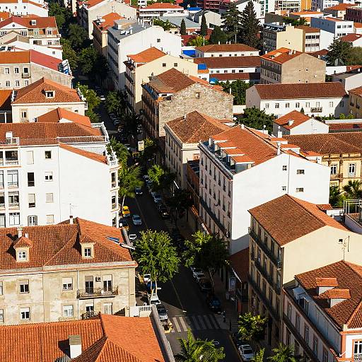 Vibrant High-Angle Urban Cityscape