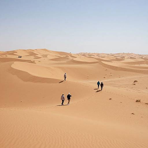 Emotion-Responsive Color-Shifting Desert