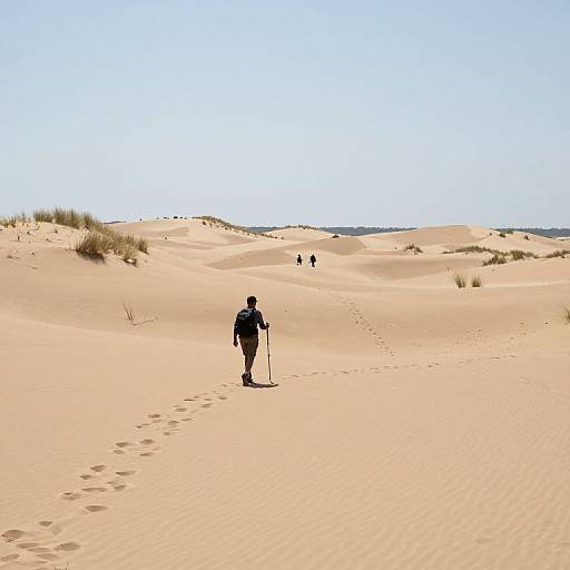 Lone Hiker Crossing Sandy Dunes