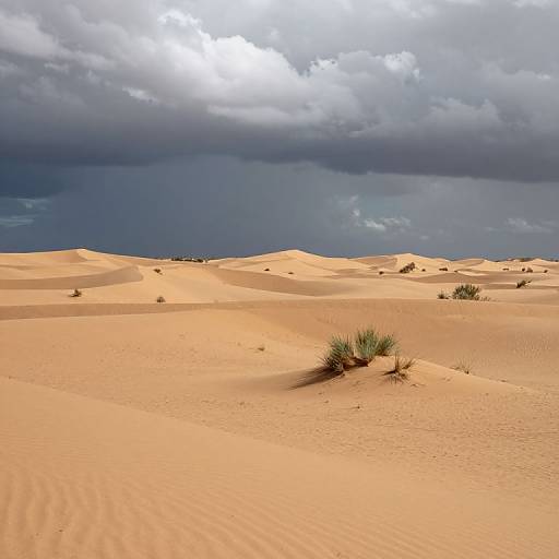 Endless Sand Dunes Under Dramatic Sky