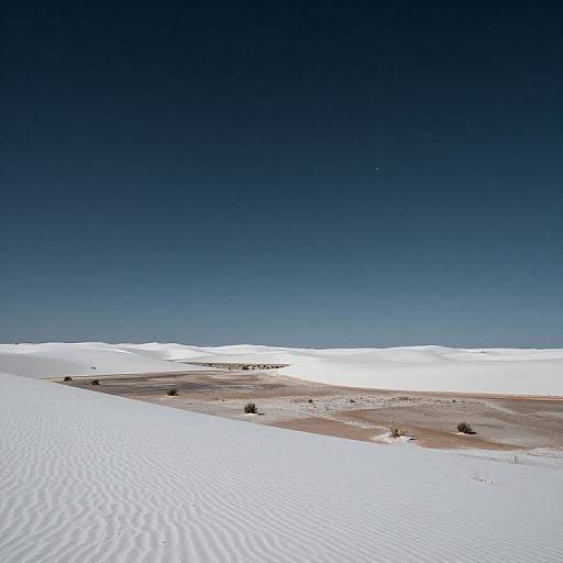 Photograph of a vast, snow-covered desert landscape with rippled white sand, sparse dark vegetation, and a deep blue, cloudless sky.