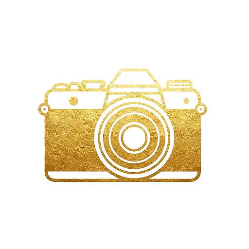 Gold Foil Vintage Camera Logo