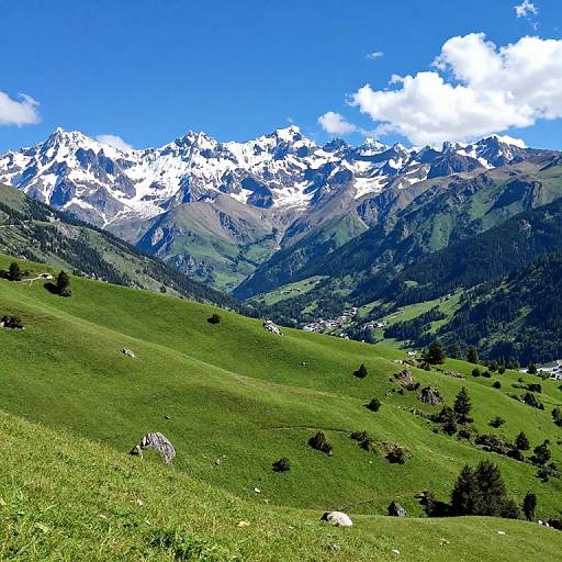 Photograph of a vibrant green mountain meadow with scattered trees, leading up to snow-capped peaks under a bright blue sky with white clouds.
